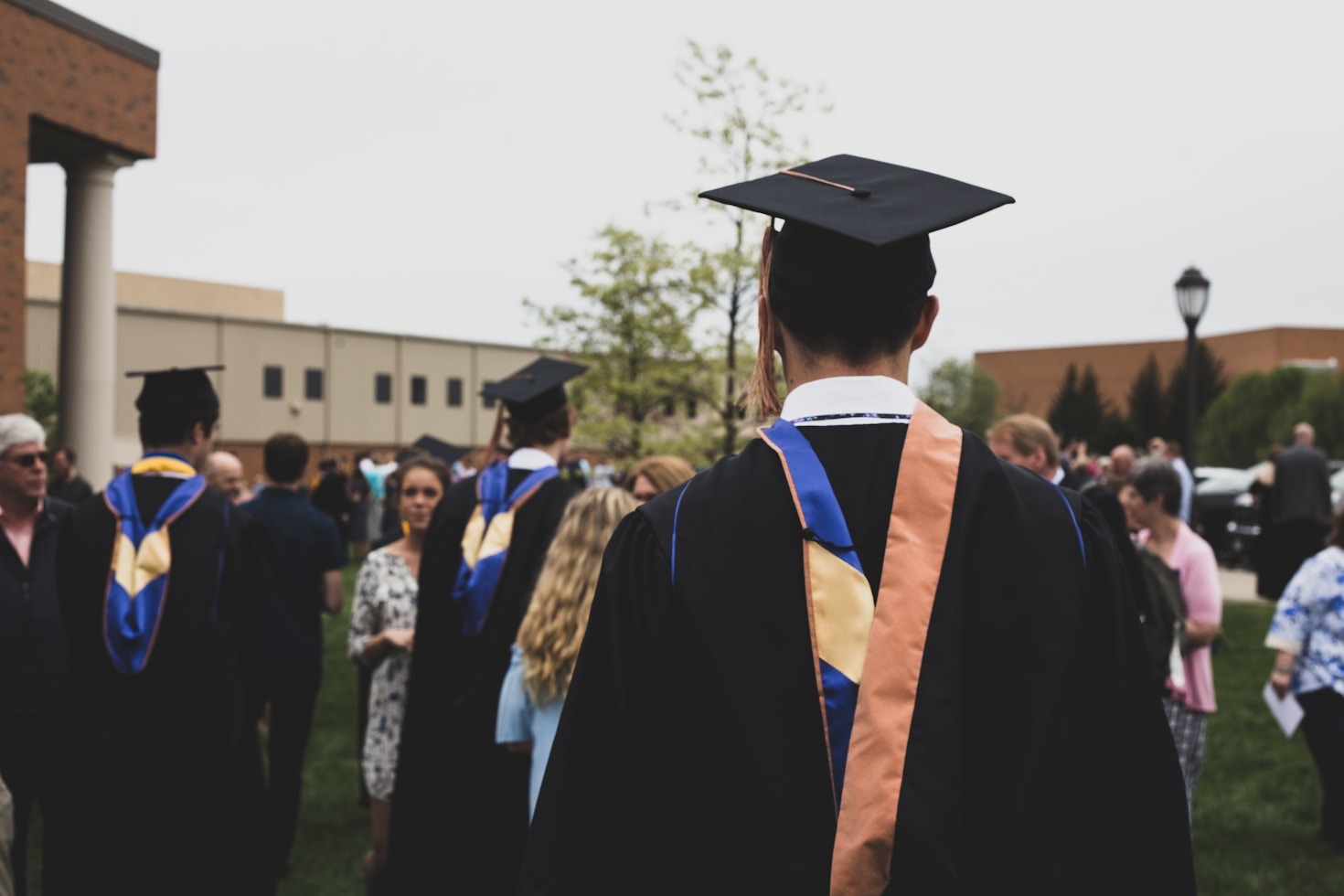 Strategies For A Successful Undergraduate Experience
