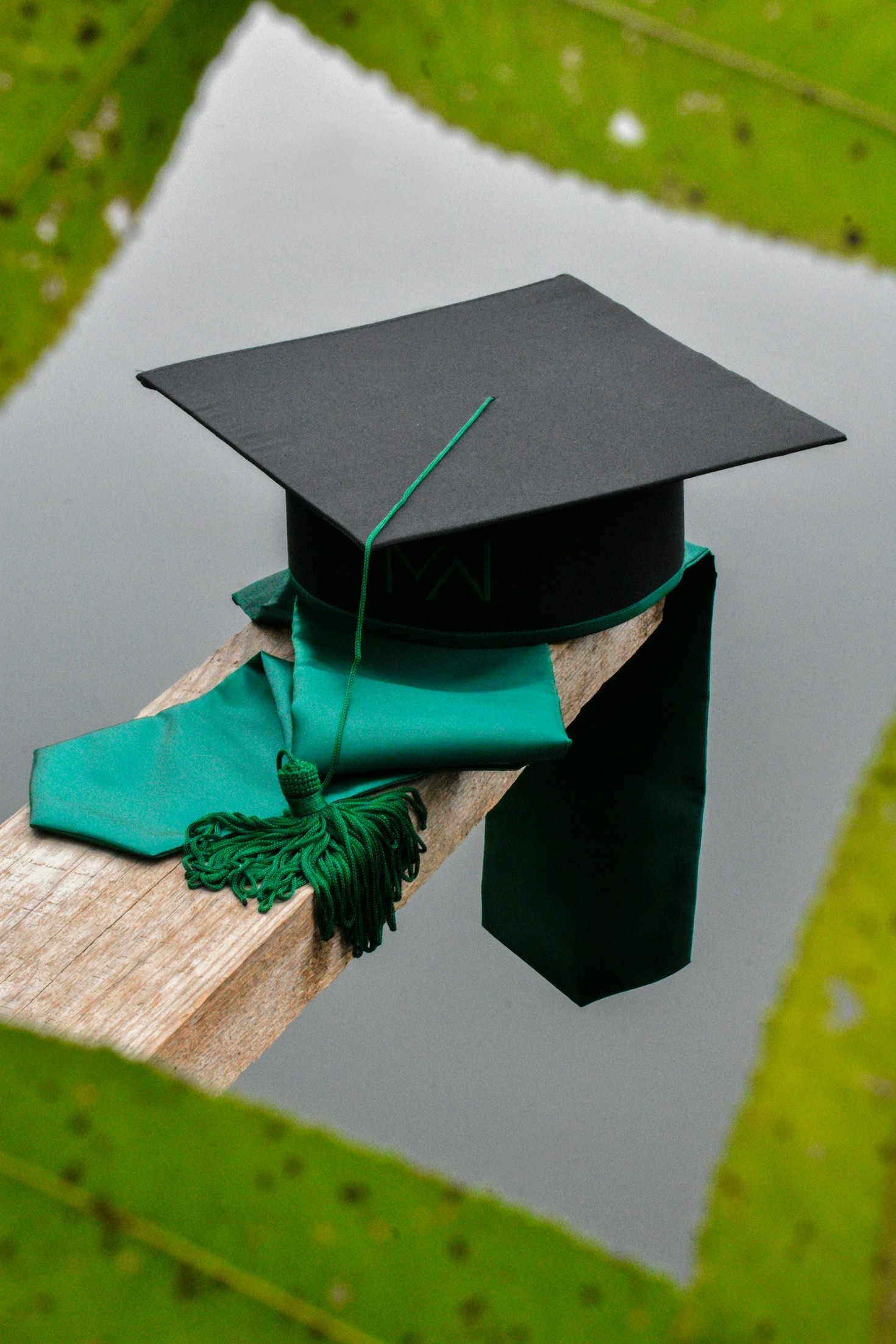 Connecting Your Degree To Future Professional Success
